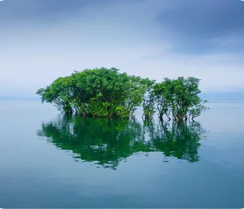 Jadukata River Beautiful View Sylhet